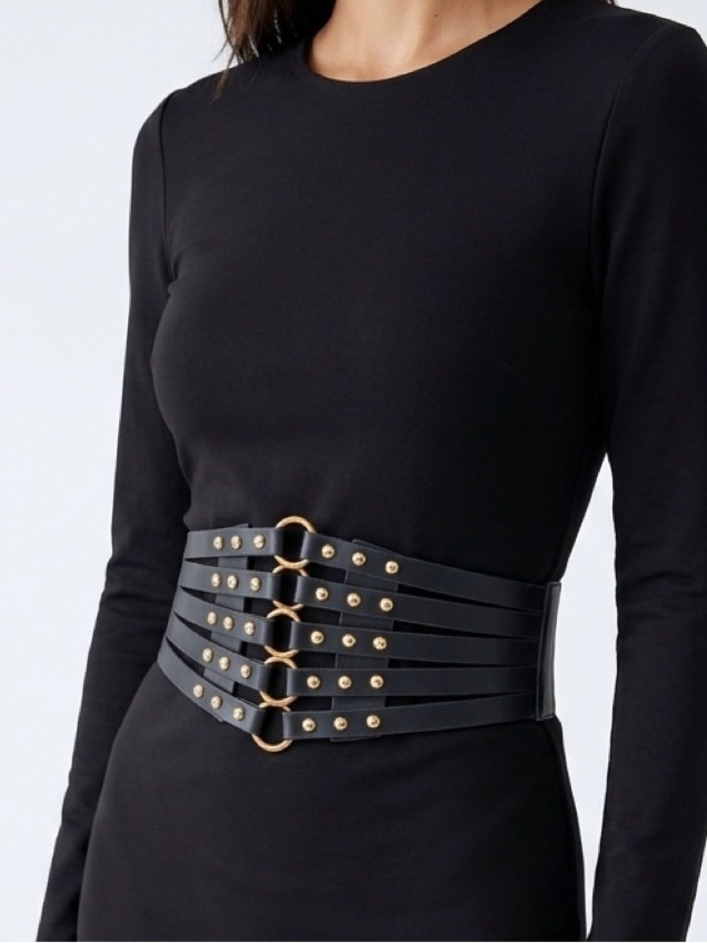 Wide Waist Belt with gold tone buckles